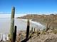 isla-pescado_114-1466_IMG.JPG