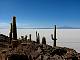 isla-pescado_114-1476_STI.JPG