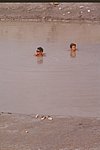eolie1998-vulcano (4).jpg