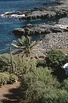 pantelleria1999-0003.jpg