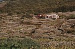 pantelleria1999-0036.jpg