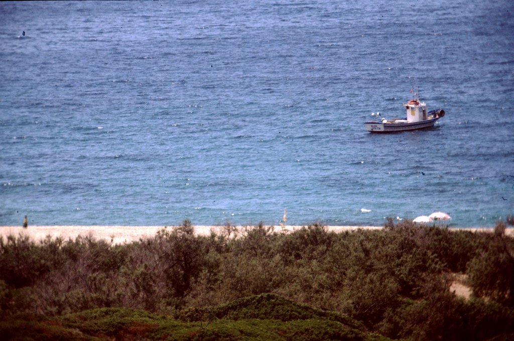 sardegna0001.jpg