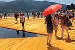 IMG_8492.jpg