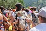 IMG_8493.jpg