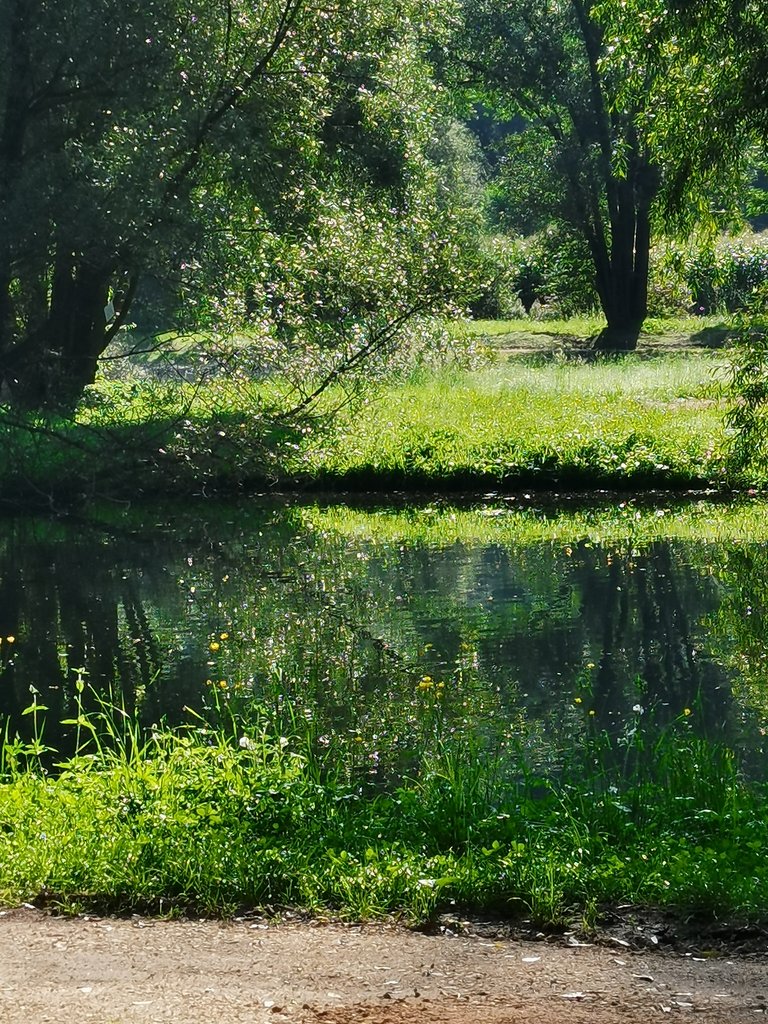 Lago Roversella TN (5).jpg