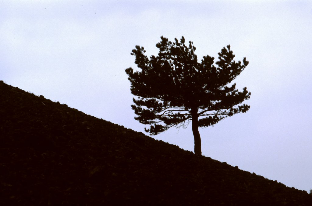 etna057.jpg