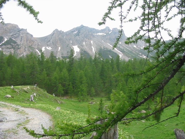 tsdfs 044 (35).jpg