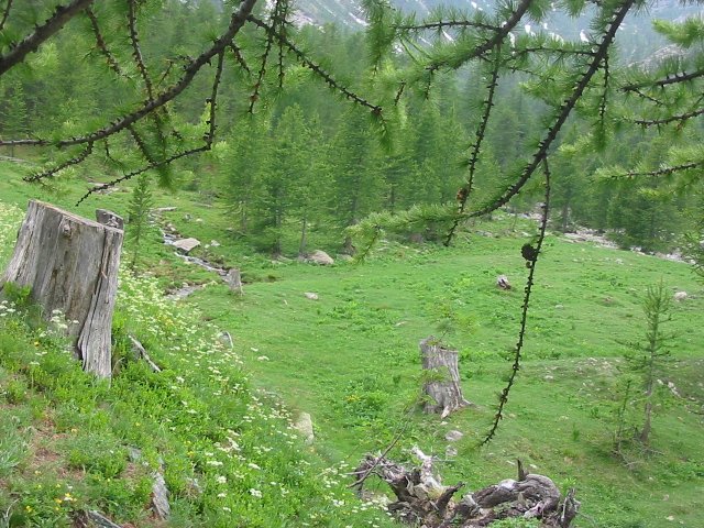 tsdfs 044 (36).jpg