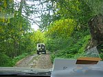 tsdfs 044 (26).jpg