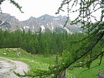 tsdfs 044 (35).jpg