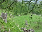 tsdfs 044 (36).jpg