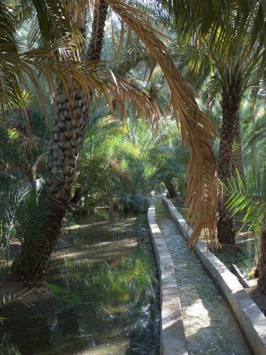 al ain - ph enricoG (11).JPG