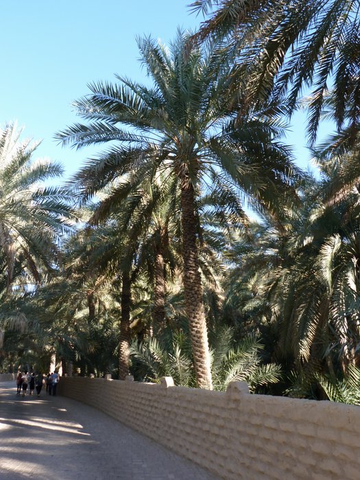 al ain - ph enricoG (12).JPG