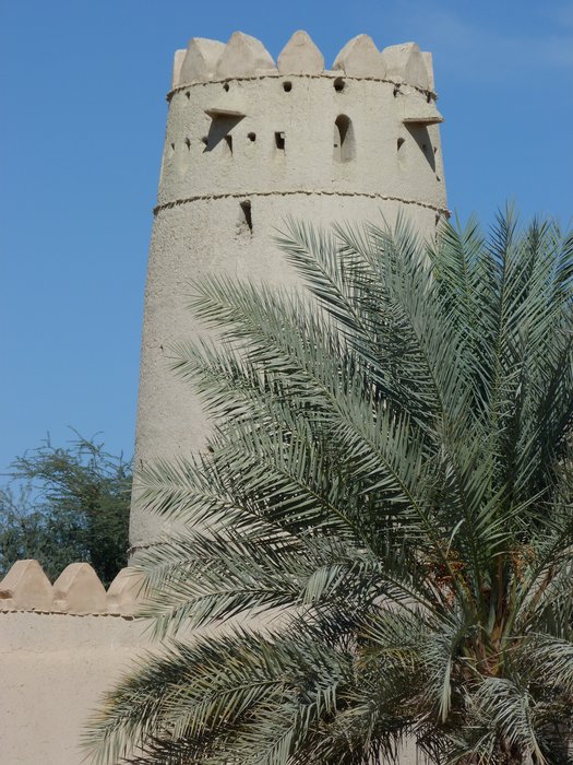 al ain - ph enricoG (5).JPG