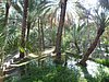 al ain - ph enricoG (9).JPG