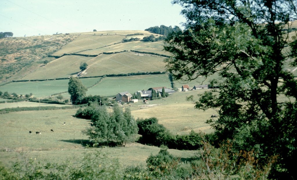 gb-wales (2).jpg