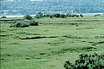sco -highlands (4).jpg