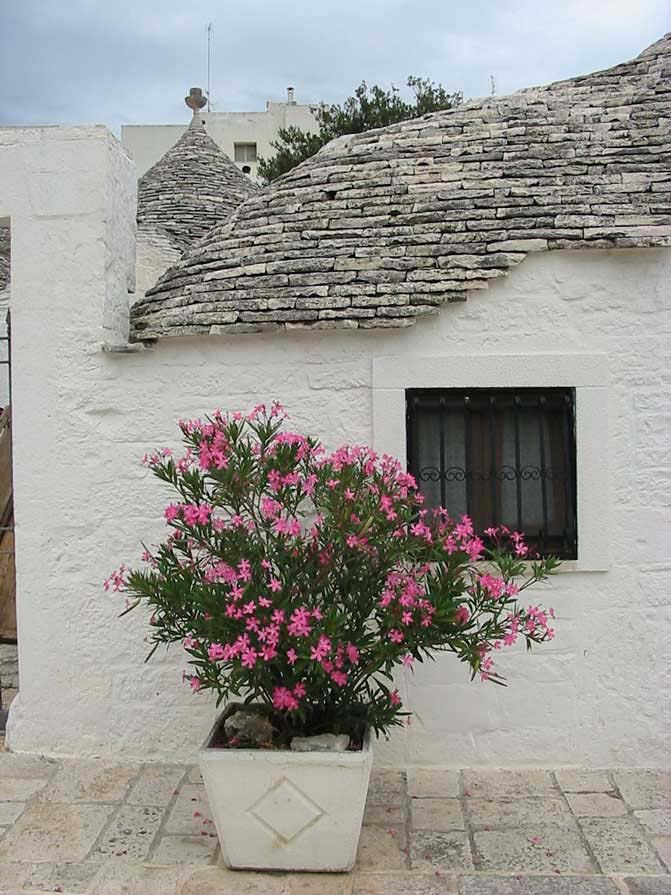 trulli0031