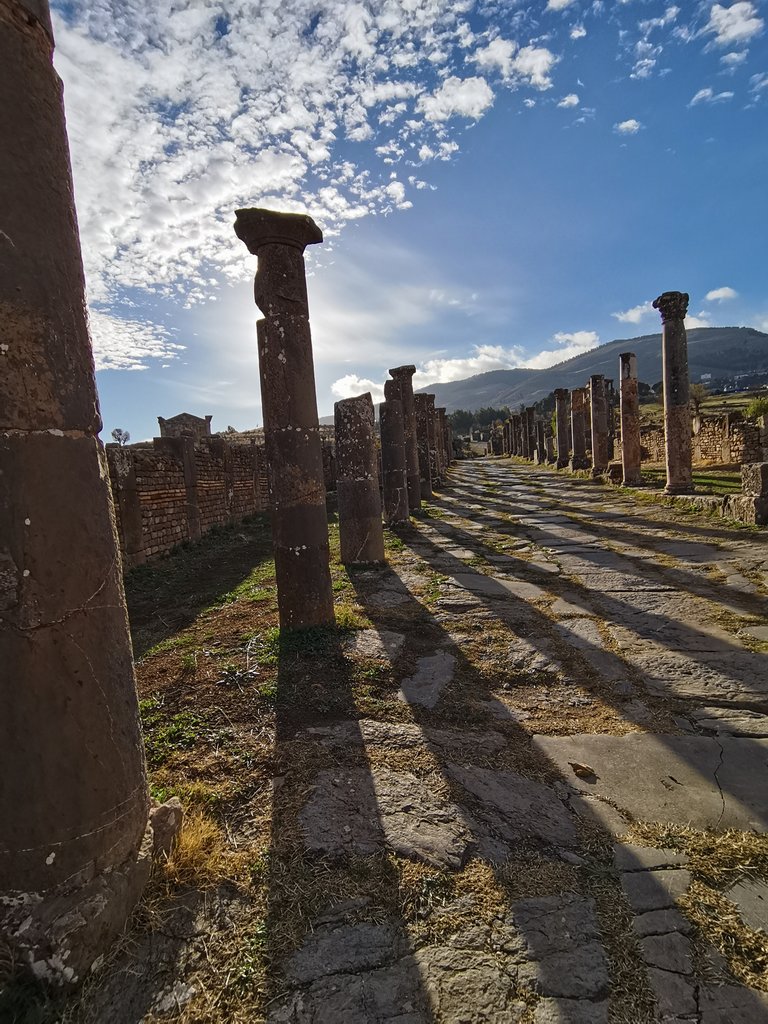 13 djemila (cuicul) (11).jpg