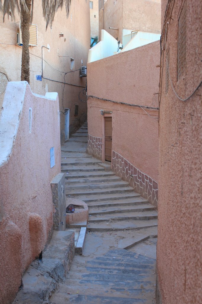 33 El-Atteuf- gardaia (26).JPG