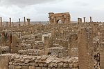 11timgad (1).JPG