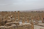 11timgad (3).JPG