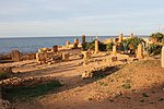 15 tipasa (21).JPG