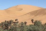 20 taghit (13).JPG