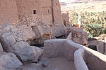 20 taghit (15).JPG