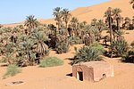 20 taghit (19).JPG