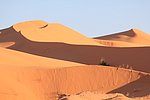 20 taghit (45).JPG