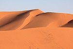 26 desertp haggar (107).JPG