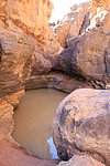 26 desertp haggar (164).JPG