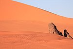 26 desertp haggar (176).JPG