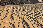 26 desertp haggar (18).JPG