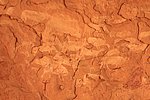 26 desertp haggar (36).JPG