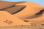 26 desertp haggar (84).JPG
