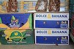 36 douz (19).JPG