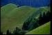 austria009.jpg
