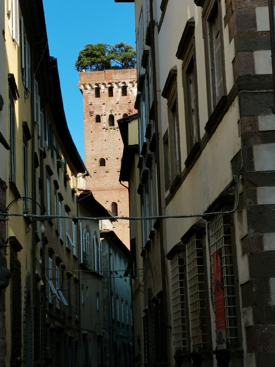 d lucca (6).jpg