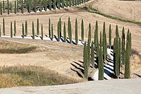g str. buonconvento-asciano (21).JPG