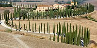 g str. buonconvento-asciano (24).jpg