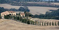 g str. buonconvento-asciano (8).JPG