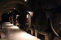 h abbazia di monte oliveto maggiore (3).JPG