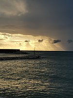 r  mattinata (3).jpg
