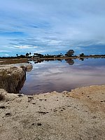 s margherita di savoia - saline (9).jpg