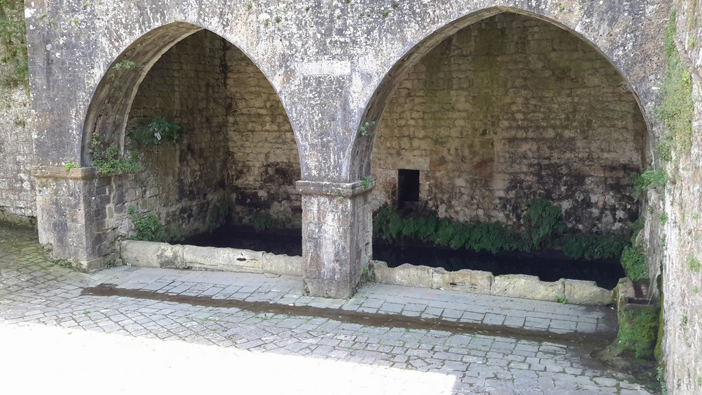 c volterra (18).jpg