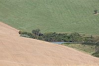 d val d-orcia (20).JPG