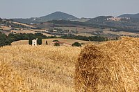 d val d-orcia (22).JPG