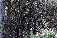i torre astura (19).JPG